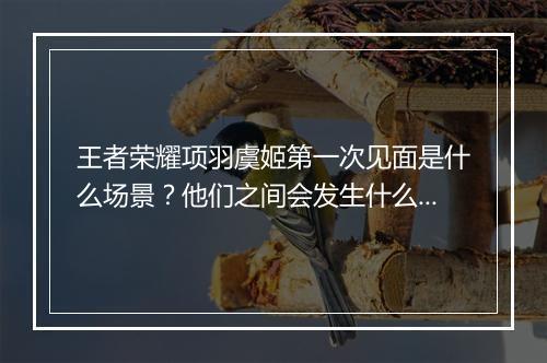 王者荣耀项羽虞姬第一次见面是什么场景？他们之间会发生什么？