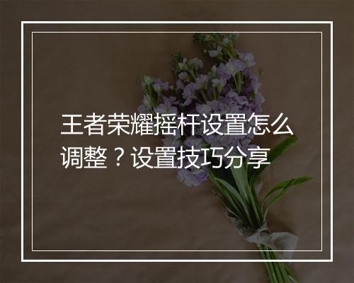 王者荣耀摇杆设置怎么调整？设置技巧分享