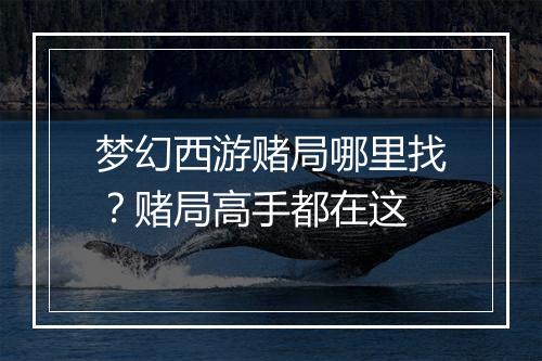 梦幻西游赌局哪里找？赌局高手都在这