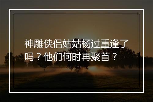 神雕侠侣姑姑杨过重逢了吗？他们何时再聚首？