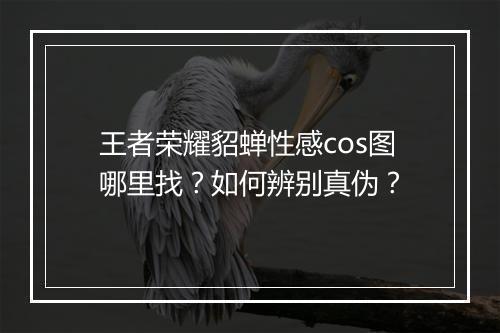 王者荣耀貂蝉性感cos图哪里找？如何辨别真伪？