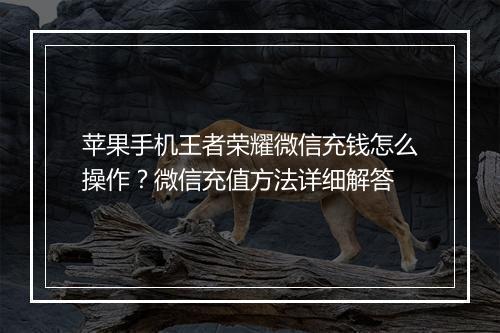 苹果手机王者荣耀微信充钱怎么操作?微信充值方法详细解答