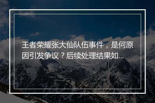 王者荣耀张大仙队伍事件，是何原因引发争议？后续处理结果如何？