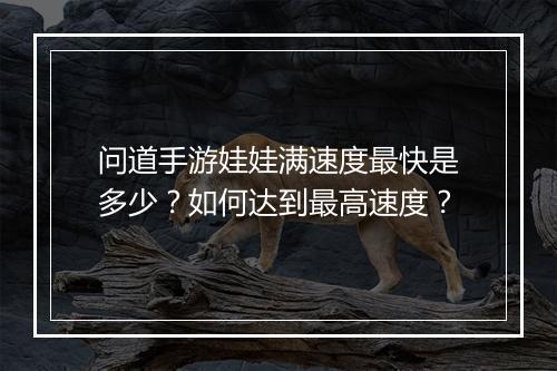 问道手游娃娃满速度最快是多少？如何达到最高速度？