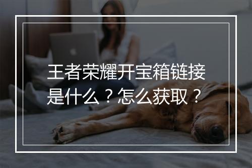 王者荣耀开宝箱链接是什么？怎么获取？