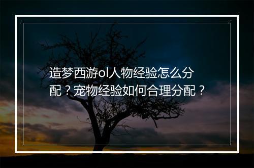 造梦西游ol人物经验怎么分配？宠物经验如何合理分配？