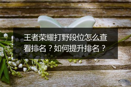 王者荣耀打野段位怎么查看排名？如何提升排名？