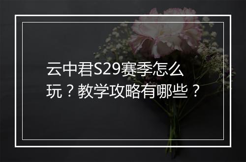 云中君S29赛季怎么玩？教学攻略有哪些？