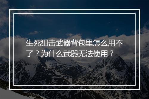 生死狙击武器背包里怎么用不了？为什么武器无法使用？