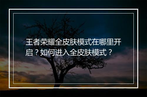 王者荣耀全皮肤模式在哪里开启？如何进入全皮肤模式？