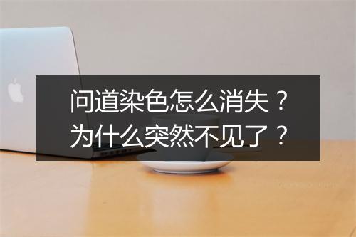 问道染色怎么消失？为什么突然不见了？