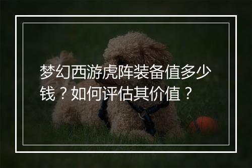 梦幻西游虎阵装备值多少钱？如何评估其价值？