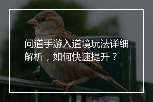 问道手游入道境玩法详细解析，如何快速提升？