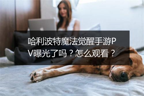哈利波特魔法觉醒手游PV曝光了吗？怎么观看？