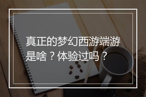 真正的梦幻西游端游是啥？体验过吗？