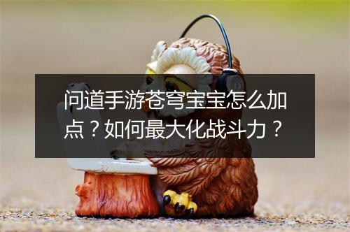 问道手游苍穹宝宝怎么加点？如何最大化战斗力？