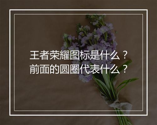 王者荣耀图标是什么？前面的圆圈代表什么？