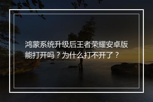 鸿蒙系统升级后王者荣耀安卓版能打开吗？为什么打不开了？