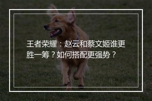 王者荣耀：赵云和蔡文姬谁更胜一筹？如何搭配更强势？