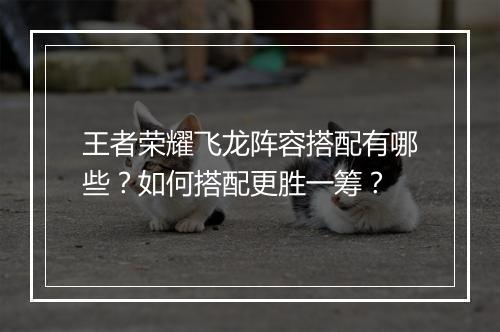 王者荣耀飞龙阵容搭配有哪些？如何搭配更胜一筹？