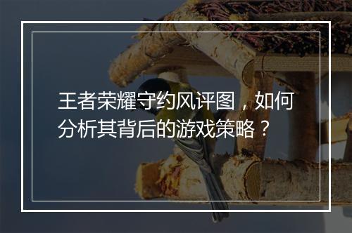 王者荣耀守约风评图，如何分析其背后的游戏策略？