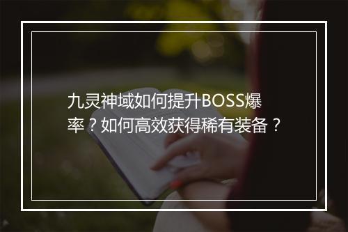 九灵神域如何提升BOSS爆率？如何高效获得稀有装备？