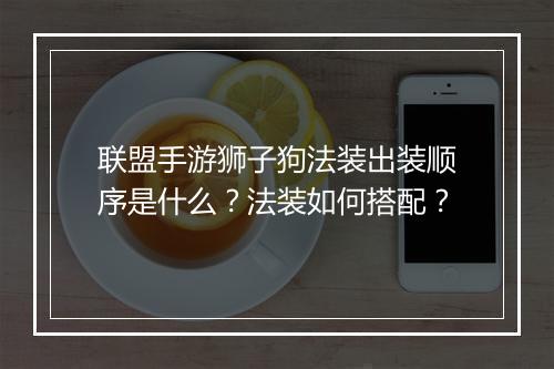 联盟手游狮子狗法装出装顺序是什么？法装如何搭配？