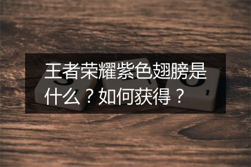 王者荣耀紫色翅膀是什么?如何获得?