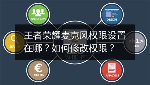 王者荣耀麦克风权限设置在哪？如何修改权限？