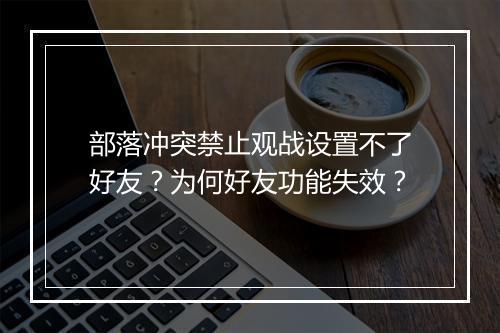部落冲突禁止观战设置不了好友？为何好友功能失效？