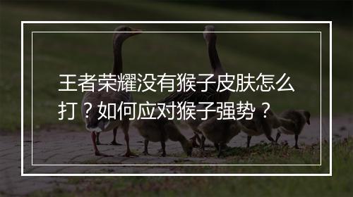 王者荣耀没有猴子皮肤怎么打？如何应对猴子强势？