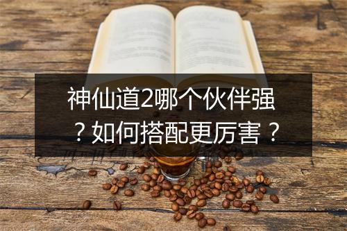 神仙道2哪个伙伴强？如何搭配更厉害？