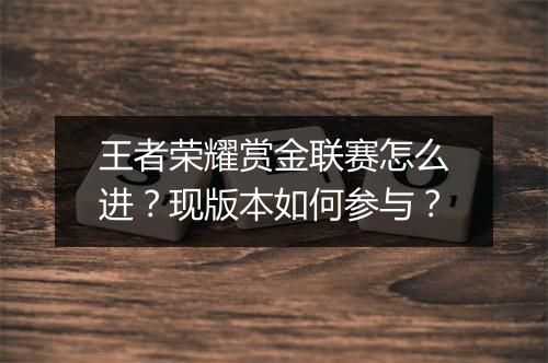 王者荣耀赏金联赛怎么进？现版本如何参与？