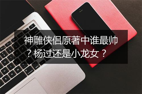 神雕侠侣原著中谁最帅？杨过还是小龙女？