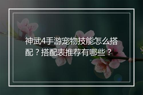 神武4手游宠物技能怎么搭配?搭配表推荐有哪些?
