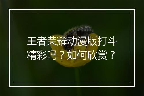 王者荣耀动漫版打斗精彩吗？如何欣赏？