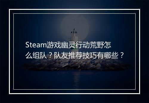 Steam游戏幽灵行动荒野怎么组队？队友推荐技巧有哪些？