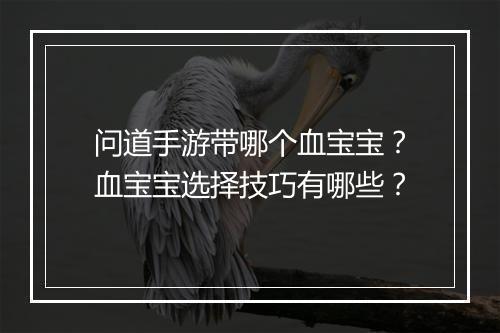 问道手游带哪个血宝宝？血宝宝选择技巧有哪些？