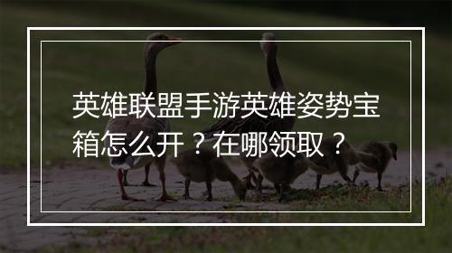 英雄联盟手游英雄姿势宝箱怎么开？在哪领取？