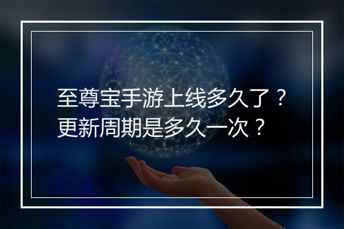 至尊宝手游上线多久了？更新周期是多久一次？