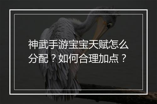 神武手游宝宝天赋怎么分配？如何合理加点？