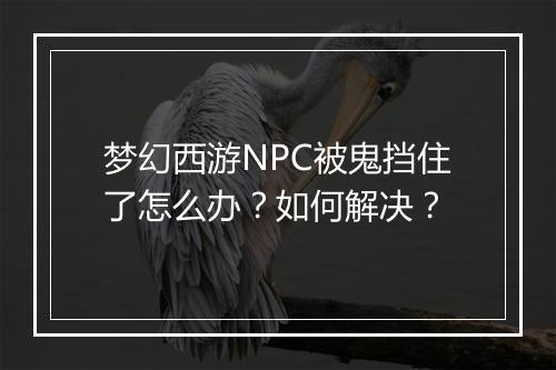 梦幻西游NPC被鬼挡住了怎么办?如何解决?