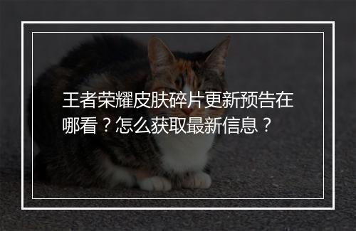 王者荣耀皮肤碎片更新预告在哪看？怎么获取最新信息？