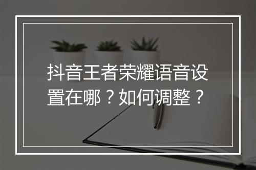 抖音王者荣耀语音设置在哪？如何调整？