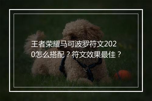 王者荣耀马可波罗符文2020怎么搭配？符文效果最佳？