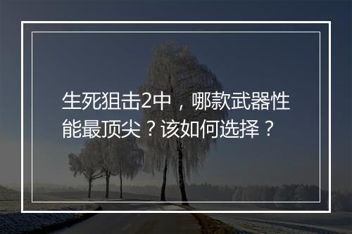 生死狙击2中,哪款武器性能最顶尖?该如何选择?