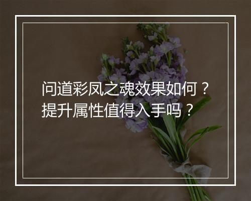 问道彩凤之魂效果如何？提升属性值得入手吗？