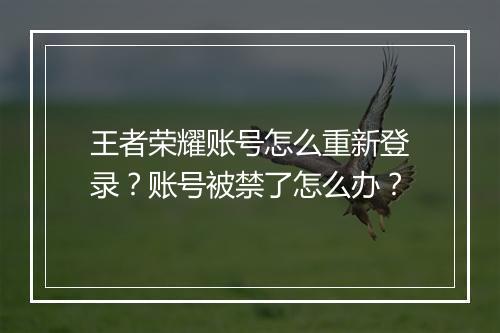 王者荣耀账号怎么重新登录?账号被禁了怎么办?