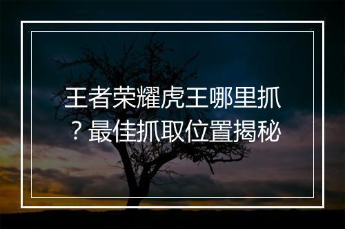 王者荣耀虎王哪里抓？最佳抓取位置揭秘