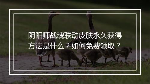 阴阳师战魂联动皮肤永久获得方法是什么？如何免费领取？